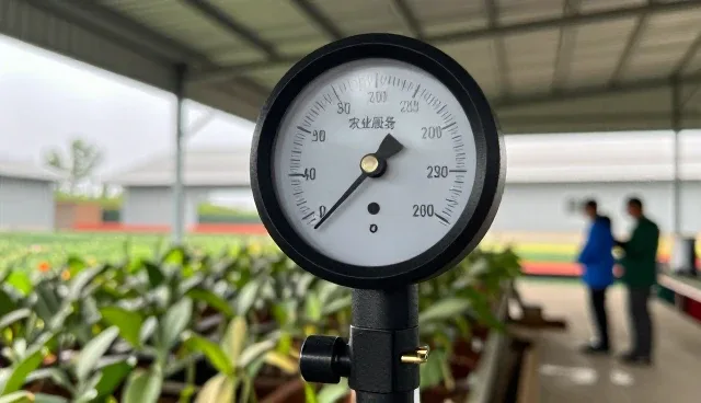 上海靓的生物科技有限公司探索农产品未来方向